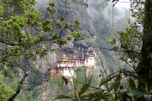 Punakha Festival Tour