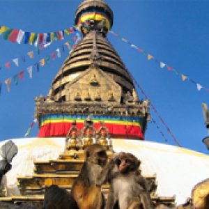 Pilgrimage Package Tours for Nepal