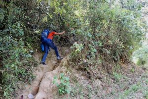 Hiking to phulchowki - Nature Trail, Travels & Tours, Trekking & Expedition