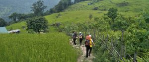 Trekking and Hiking in Nepal