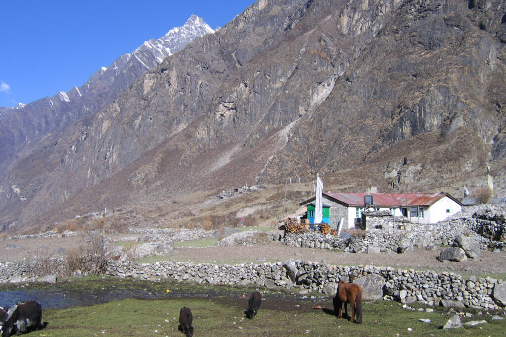 Langtang Valley Trekking