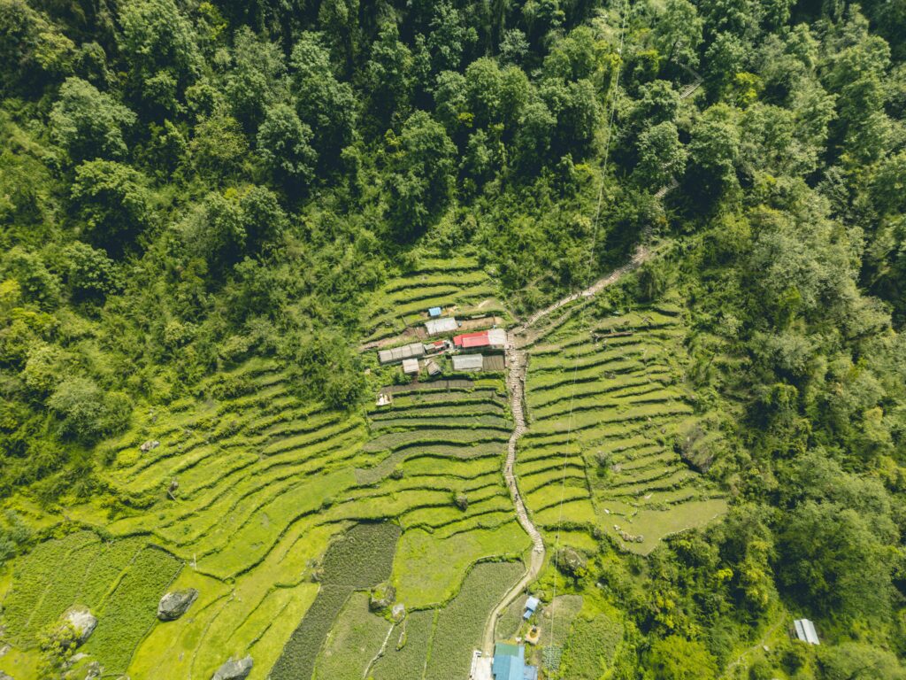 Chilila Nature Trekking