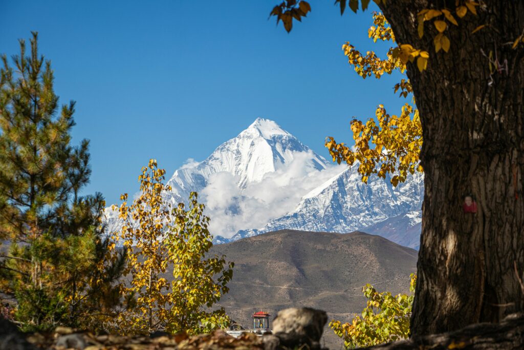 Dhaulagiri Camping Trek