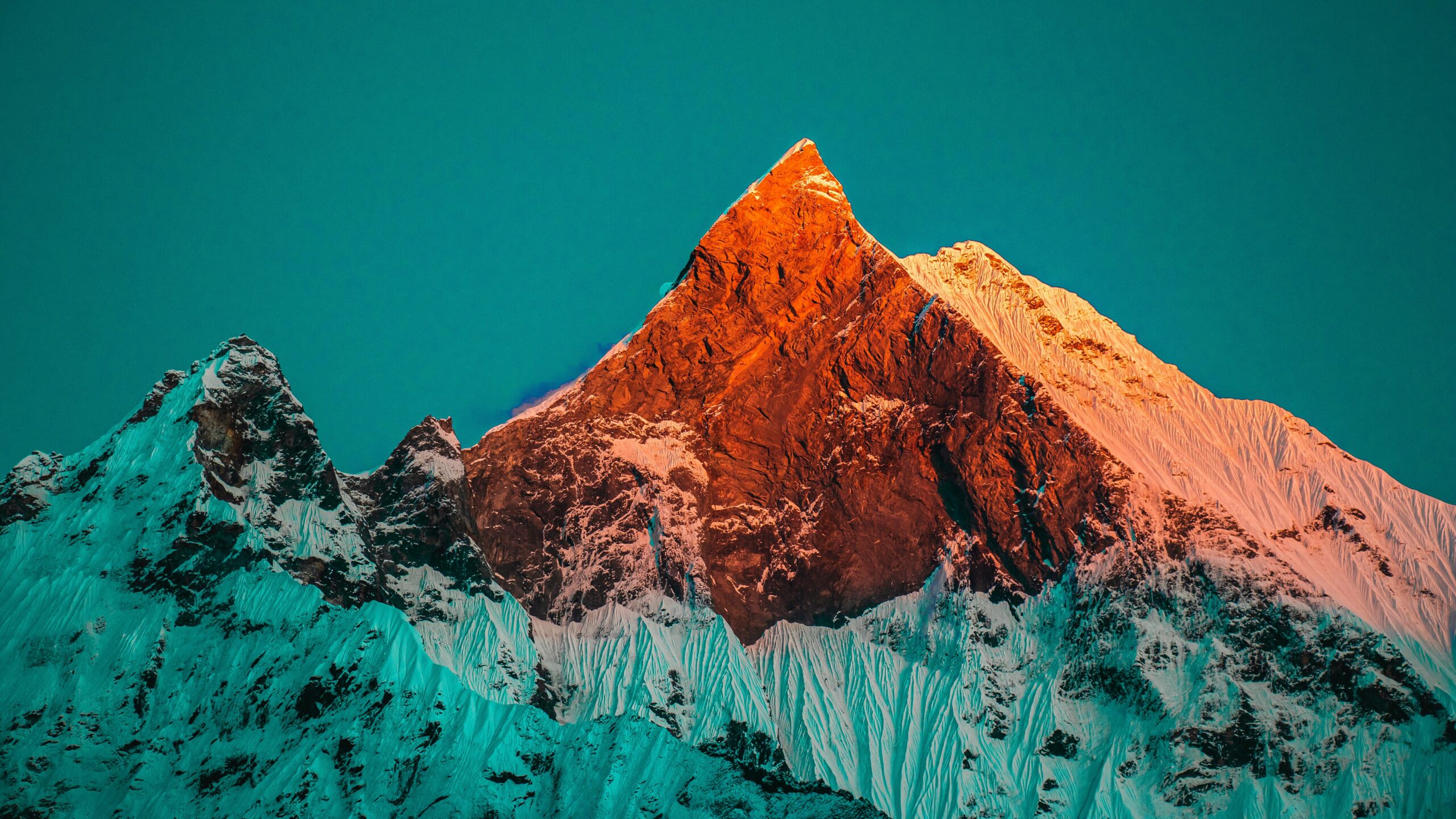 Trip Gallery Image