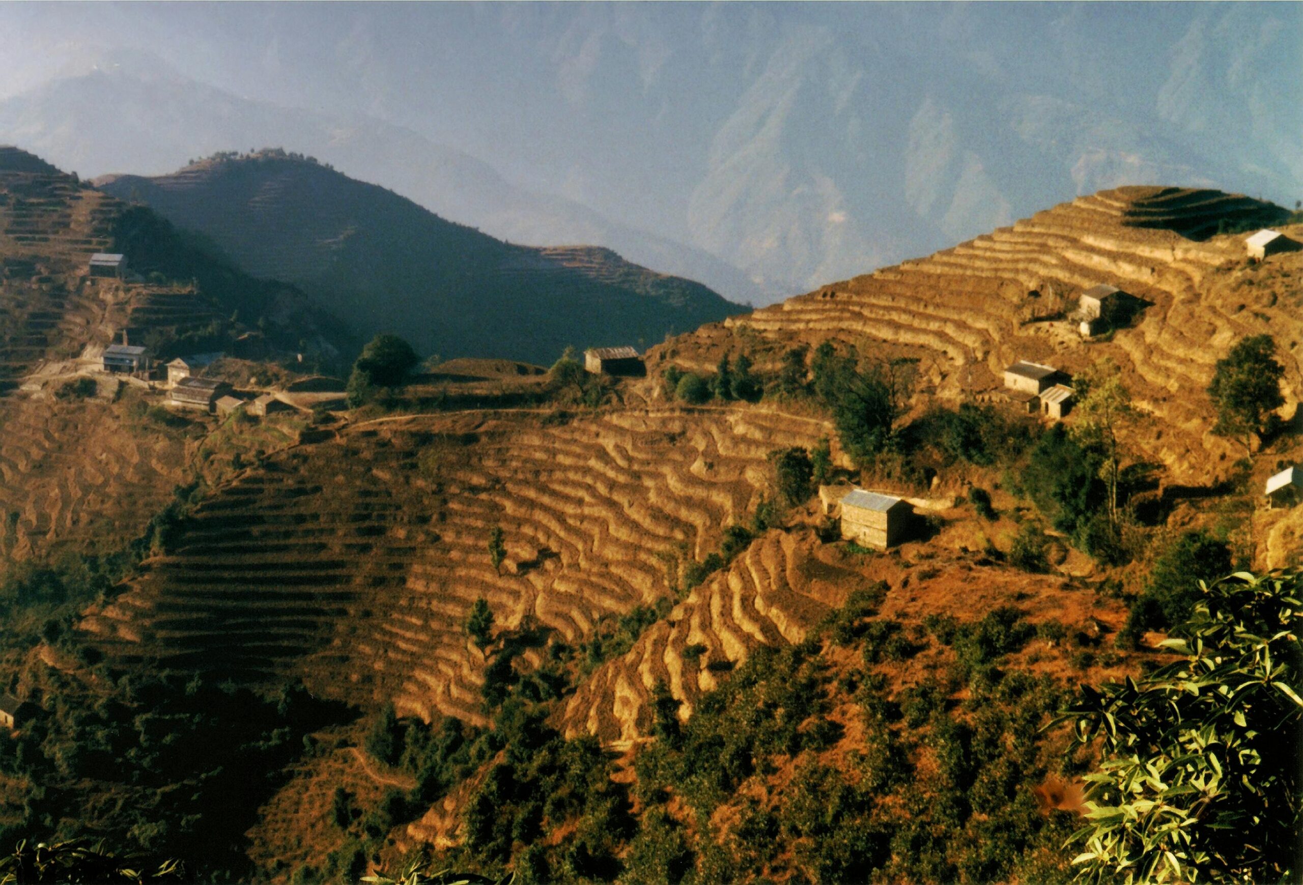 Trip Gallery Image